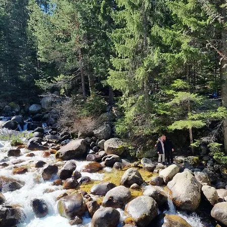 Apartamento G-apartment, New Inn, 2-rooms