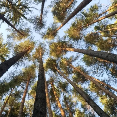 G-apartment, New Inn, 2-rooms アパート バンスコ