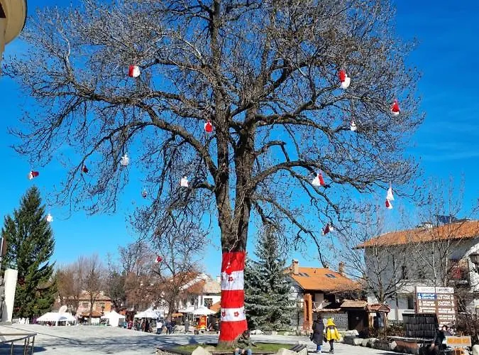 G-apartment, New Inn, 2-rooms Apartman Banszko