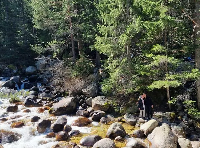 Apartment G-apartment, New Inn, 2-rooms