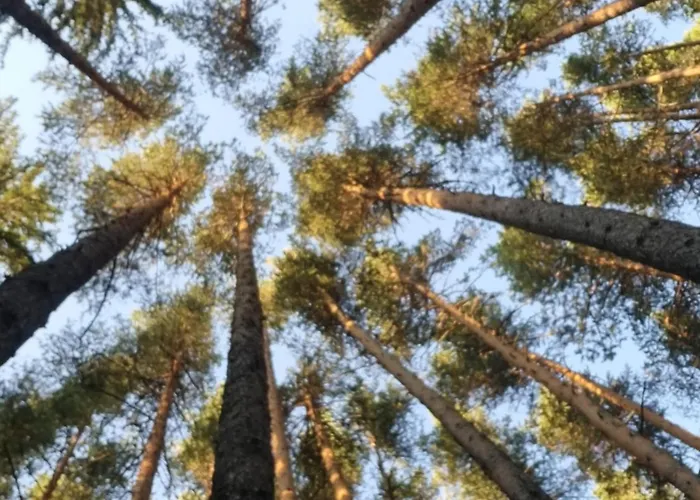 G-apartment, New Inn, 2-rooms Apartment Bansko