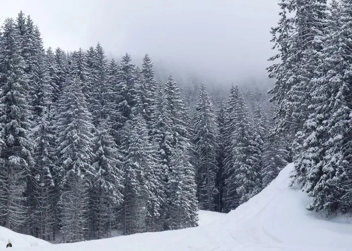 G-apartment, New Inn, 2-rooms Apartman