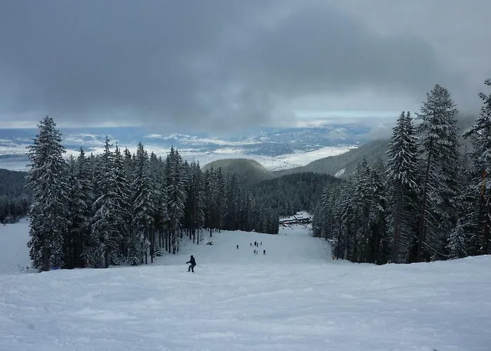 G-apartment, New Inn, 2-rooms *